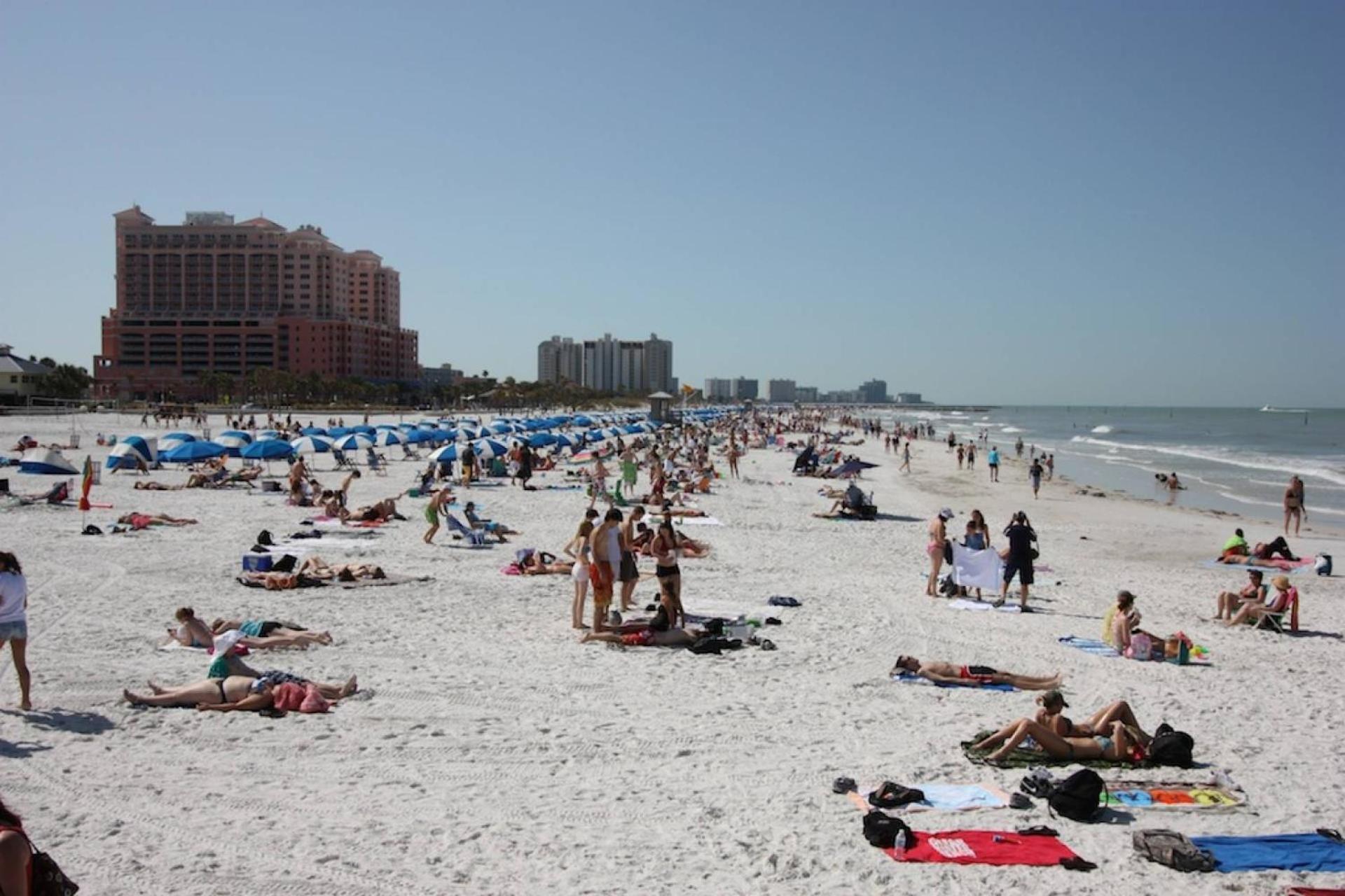 201 Belleair Beach Club Clearwater Beach Exterior foto